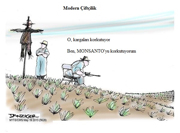 Farmers, US Agriculture, GM seeds, Monsanto, political cartoon